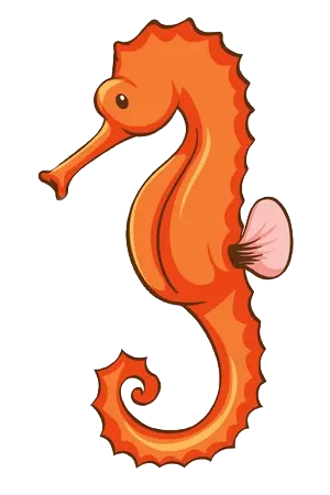 Cavalluccio