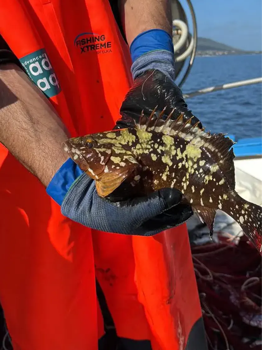 Pescaturismo Asinara - Escuesione Asinara 03