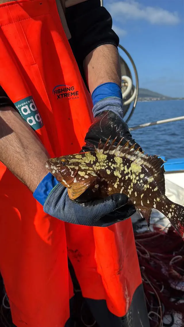 Pescaturismo Asinara - Escuesione Asinara 03