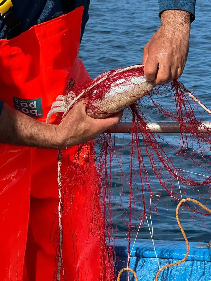 Pescaturismo Asinara - Escuesione Asinara 11