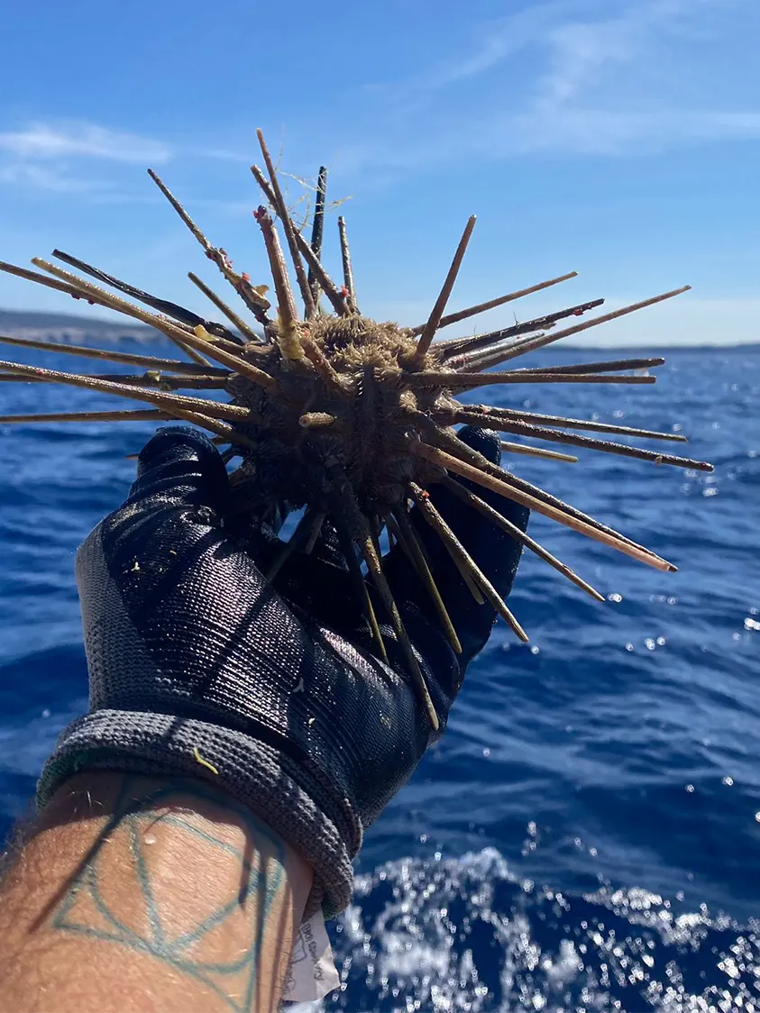 Pescaturismo Asinara - Escuesione Asinara 12