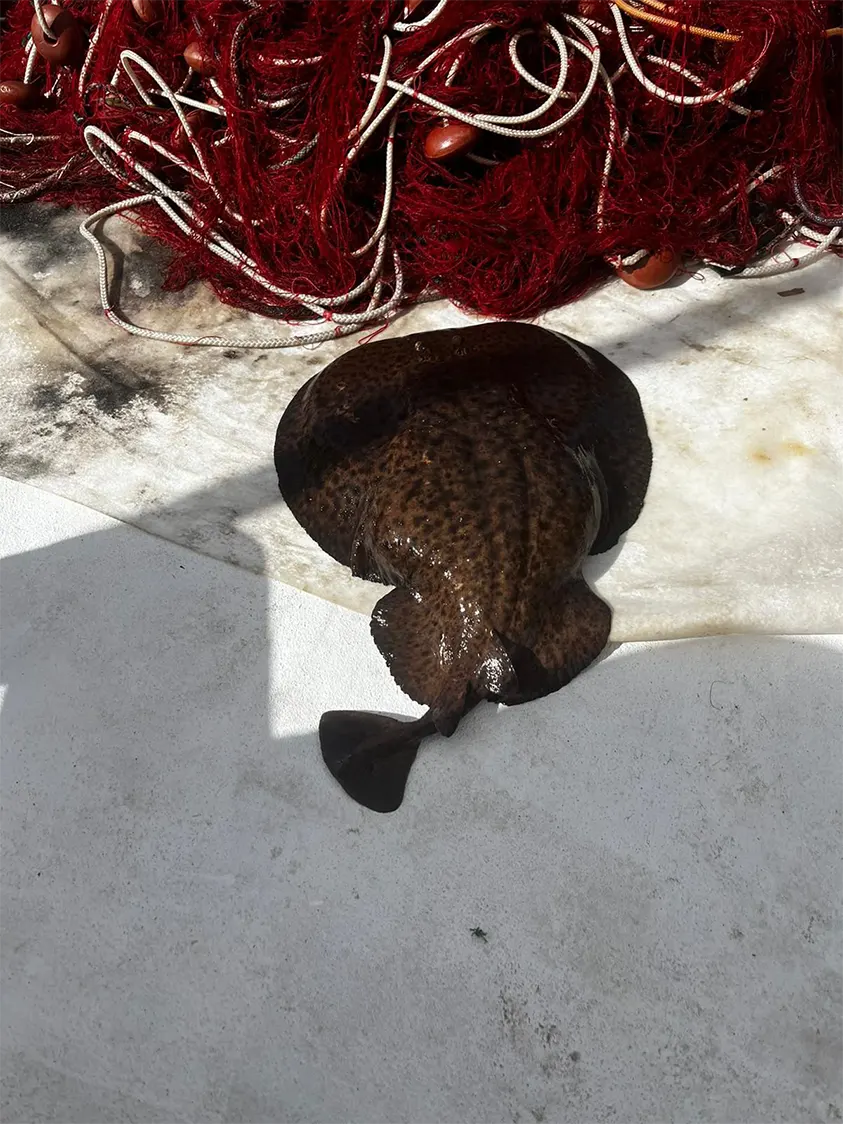 Pescaturismo Asinara - Escuesione Asinara 14