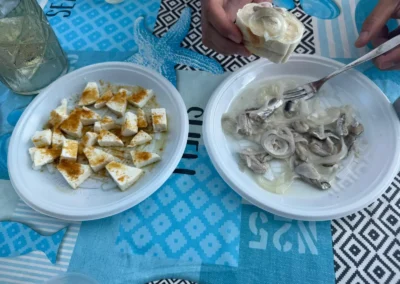 Pescaturismo Asinara Stintino Roberto Primo - Gallery 26