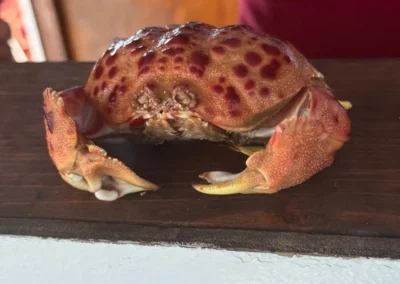 Pescaturismo Asinara Stintino Roberto Primo - Gallery 30